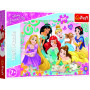 Puzzle Šťastný svět princezen/Disney Princess 200 dílků 48x34cm v krabici 33x23x4cm