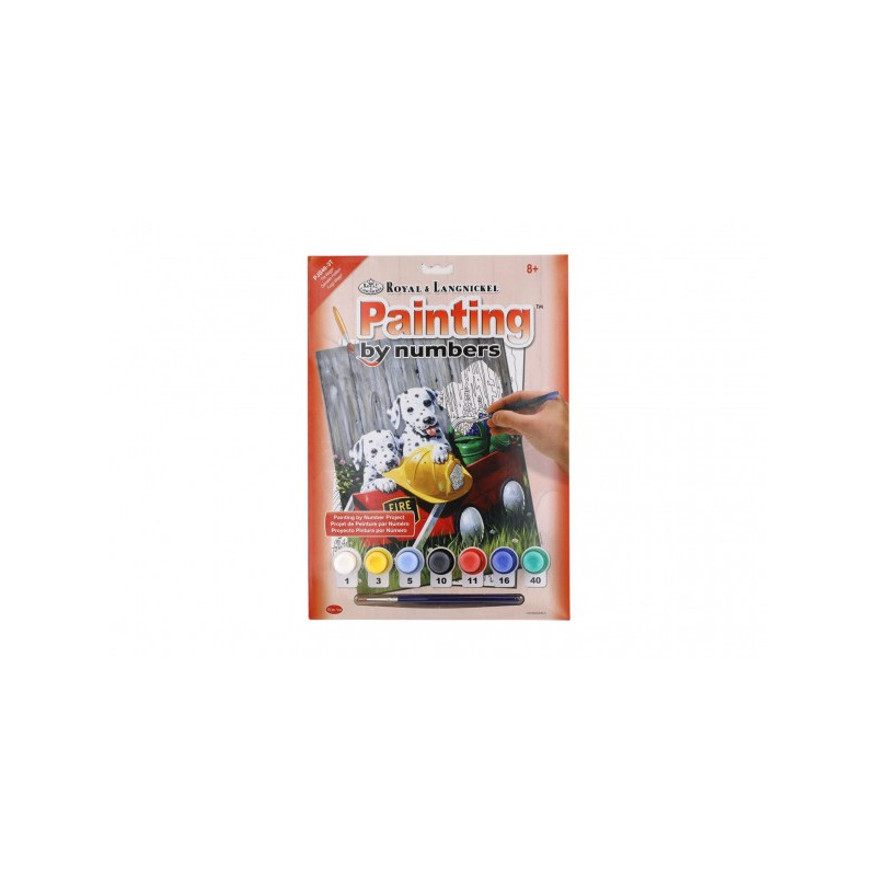 SMT Creatoys Malování podle čísel Dalmatini 22x30cm s akrylovými barvami a štětcem na kartě 22956894-XG