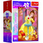 Minipuzzle Krásné princezny/Disney Princess 54dílků 4 druhy v krabičce 6x9x4cm 40ks v boxu