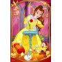 Minipuzzle Krásné princezny/Disney Princess 54dílků 4 druhy v krabičce 6x9x4cm 40ks v boxu