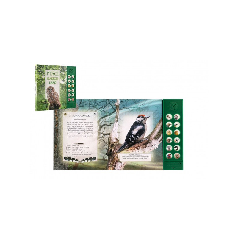 Albatros Zvuková knížka Ptáci našich lesů na baterie 22,5x21cm CZ text 10402451-XG