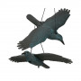 Plašič ptáků a holubů - Havran letící 85 cm, černo-modrý SPRINGOS GA0130