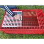 Přepravní box na živou drůbež CRATE MOD B1 - 95,5x57x32,5cm