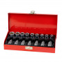 Sada nástrčných klíčů a bitů Torx z chrom-vanadiové oceli, běžně dostupné velikosti, v praktickém a přehledném kovovém boxu.