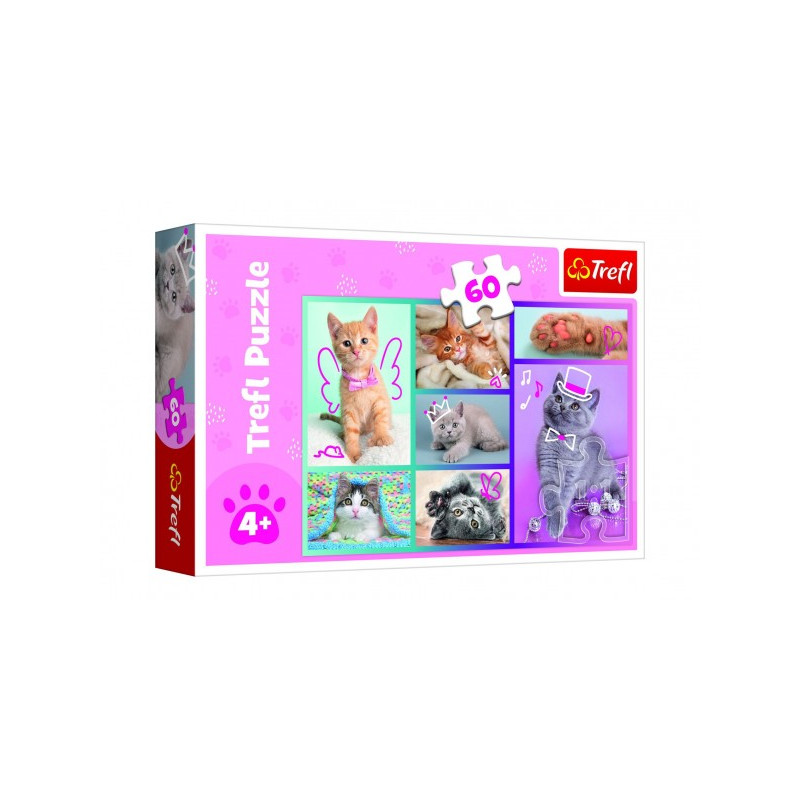 Trefl Puzzle Roztomilé kočky 33x22cm 60 dílků v krabici 21x14x4cm 89017373-XG
