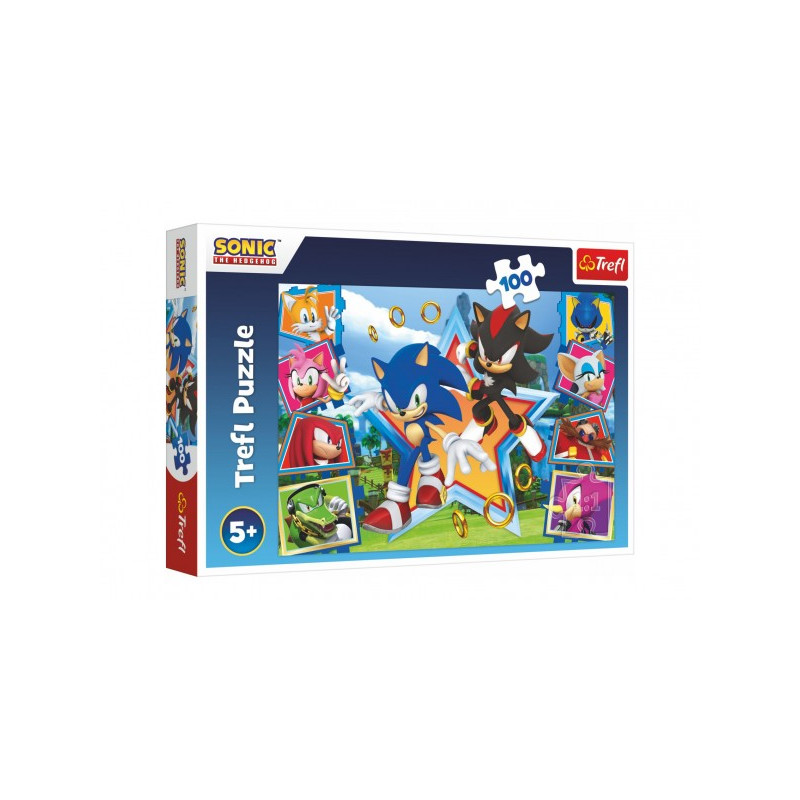 Trefl Puzzle Seznamte se se Sonicem/Sonic the Hedgehog 100 dílků 41x27,5cm v krabici 29x19x4cm 89016465-XG
