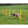 Agility překážky pro psy KERBL 80758, set 3 typy