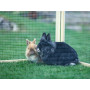 Výběh pro králíky, morčata a další hlodavce KERBL VARIO 120x60 cm