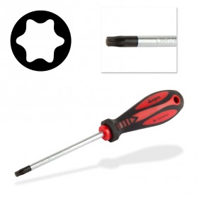 Šroubovák torx T30x6x100