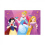 Puzzle Disney Odvážné princezny 24 dílků 26x18cm v krabici 27x19x4cm