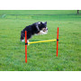 Agility překážky pro psy KERBL 80758, set 3 typy