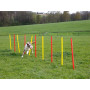 Agility překážky pro psy KERBL 80758, set 3 typy