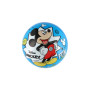 Míč Mickey Mouse nafouknutý 23cm v síťce