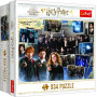 Puzzle Harry Potter Brumbálova armáda 934 dílků 68x48cm v krabici 26x26x10cm