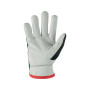 Rukavice CXS TECHNIK WINTER, zimní, kombinované, vel. 08