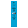 Upínací popruh s ráčnou 5 m x 25 mm / 245 kg