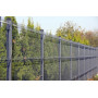 Plotový panel PLUTO Light ZN+PVC 2030x2500 mm zelený