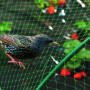 Síť proti ptákům Birdnet 4x20 m zelená