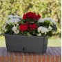 Balkonový truhlík s podložkou 40x18x15 cm Versilia, antracit
