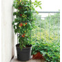 Květináč na pěstování rajčat 39,2 cm Tomato Grower