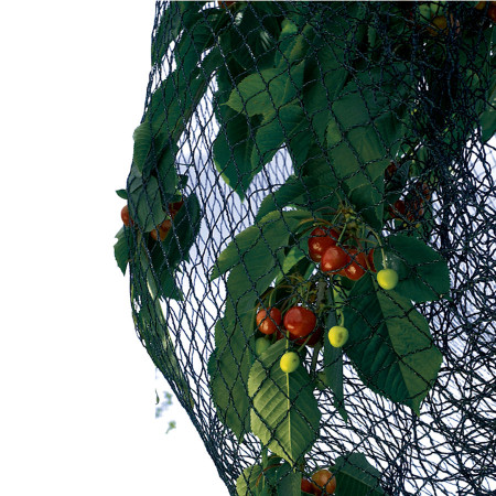 Síť proti ptákům BIRDNET 4x5 m