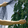 Síť proti ptákům BIRDNET 4x5 m