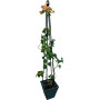 Opora pro popínavé rostliny 180 cm, 4 nohy