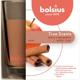 Vonná svíčka ve skle 95x95 mm True Scents jablko/skořice