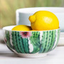 Porcelánová miska 13 cm Cactus Kaktus