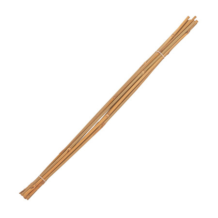 Tonkin tyčky bambusové 6/8 mm x 60 cm, přírodní, 10 ks