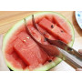 Nerezový krájač na melón 2,5 cm