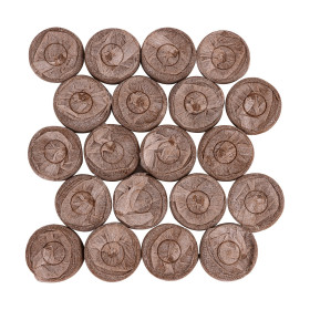 Pěstitelské kokosové tablety 35x10 mm, 20 ks