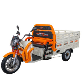 Nákladní e-tříkolka PILOT 3130A, bílá