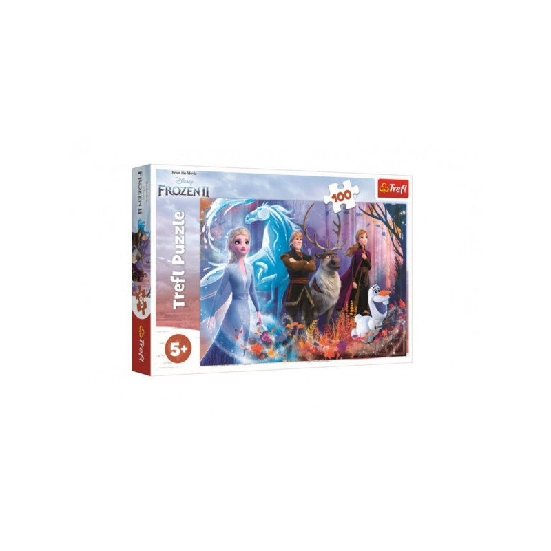 Trefl Puzzle Ledové království II/Frozen II 100 dílků 41x27,5cm v krabici 29x19x4cm 89116366-XG