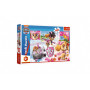 Puzzle Paw Patrol/Tlapková patrola Skye v akci 41x27,5cm 100 dílků v krabici 29x19x4cm